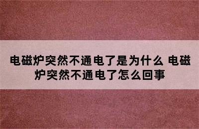 电磁炉突然不通电了是为什么 电磁炉突然不通电了怎么回事